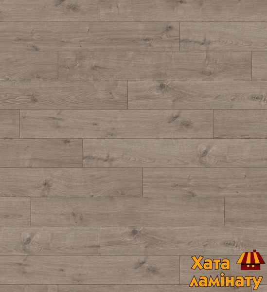 Ламинат Haro Tritty 100 Oak Portland Grey 533121 фото
