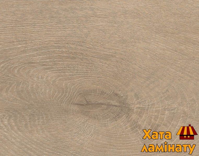 Ламинат Haro Tritty 100 Oak Veneto Crema 535261 фото