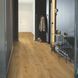 Кварц вінілова плитка для підлоги Quick-Step Fuse Fall oak honey SGMPC20323 фото 2