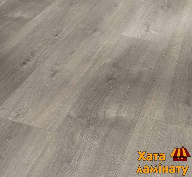 Ламинат PARADOR Basic 600 V4 Oak Valere pearl-grey limed 1744355 фото