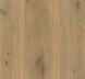 Ламінат PARADOR Basic 600 V4 Oak Horizont natural