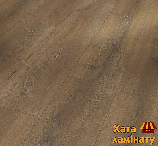 Ламинат PARADOR Basic 600 V4 Oak Montana limed 1593830 фото