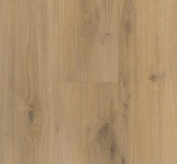 Ламинат PARADOR Basic 400 V4 Oak Horizont natural 1593797 фото