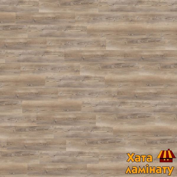 Кварц вінілова плитка для підлоги Wineo 400 DB Wood Coast&nbsp;Pine&nbsp;Taupe DB284WL фото